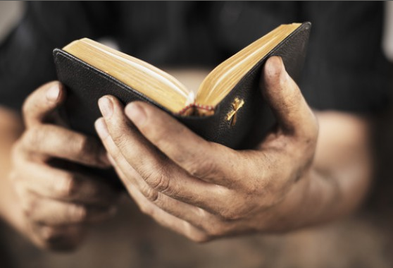 The Word